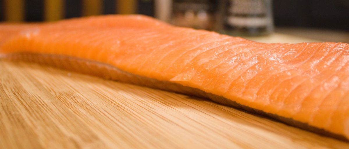 Steelhead Trout